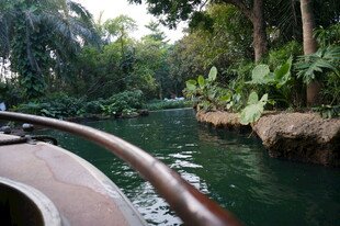 乘船穿梭于绿意盎然河道