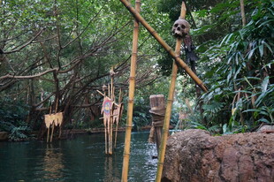 猴子在水上木桩嬉戏