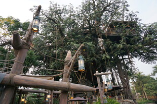 户外树上的趣味游乐设施