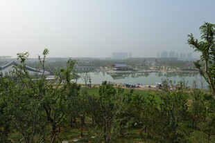 湖畔绿树环绕的美丽景致