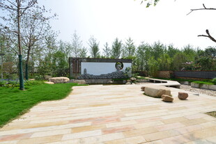 户外露天电影休闲场地