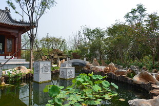 中式园林池塘景观