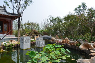 中式园林池塘与亭台景致