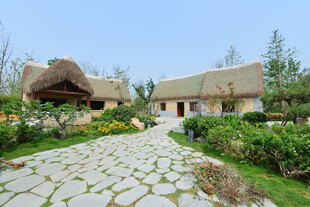 田园风茅草屋庭院景观