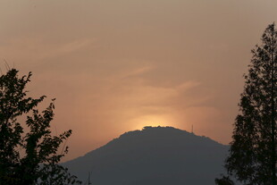 夕阳下的远山与树木