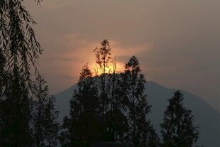 夕阳下的山林美景