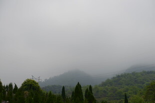 云雾缭绕的山林景色