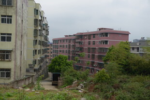 老旧居民楼与周边绿植景观