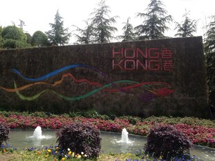 花园中的缤纷景观标识