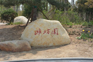 潍坊园景观石