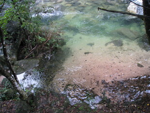 山间清澈溪流景色