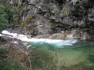 山间清澈溪流美景