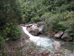 山间溪流潺潺 绿意盎然