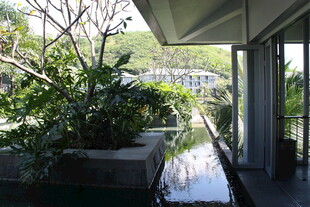 现代庭院景观 绿植环绕