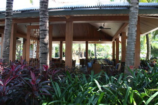 户外绿植环绕的木质凉亭