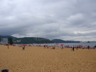 热闹的海滨沙滩场景