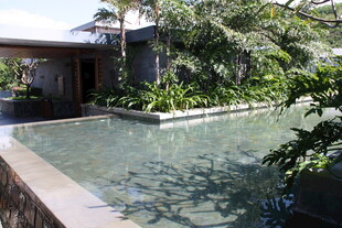 庭院中的静谧泳池景观