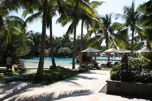 热带风情泳池畔度假美景