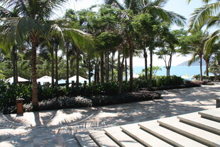 热带沙滩椰林度假美景