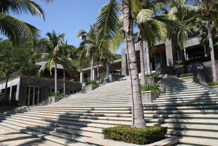 热带风格阶梯式庭院景观