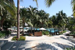 热带风情度假泳池景观