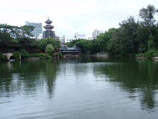 湖畔风光 静谧自然景致