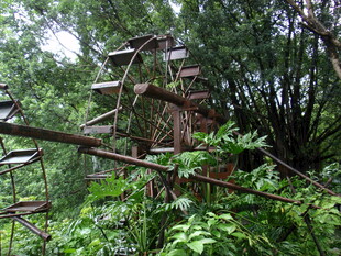 丛林中的古老木质风车