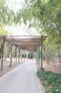 林间木质长廊景观