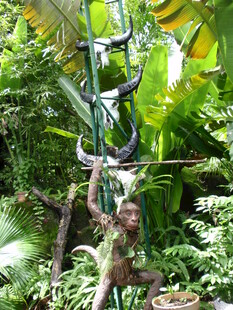 丛林中的奇幻雕塑景观