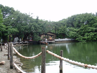 湖畔木栏 静谧自然景致