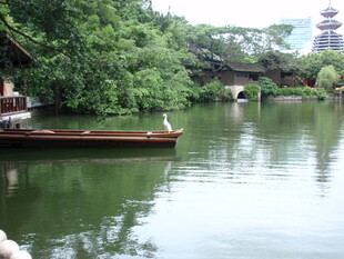 湖畔小船伴绿树古塔