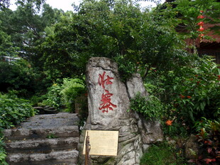 清幽山林中的刻字石碑