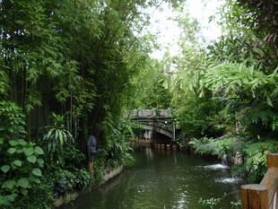 幽静河畔绿植环绕的美景