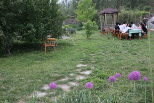 花园中的休闲美好时光