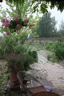 庭院绿植景观一角