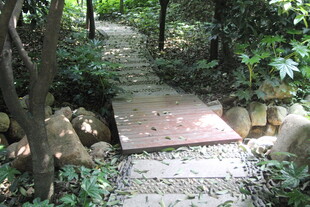 林间石板小径 绿意盎然