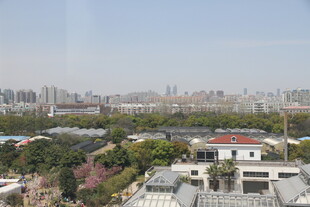 城市景观中的建筑与绿化