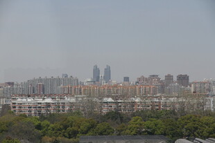 城市远景与绿植景观