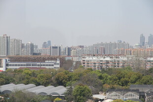 城市景观中的建筑与绿植