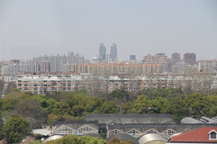 城市远景与绿植景观