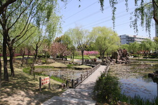 春日公园湖畔美景