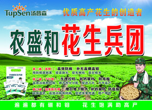 农盛和花生兵团宣传海报