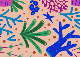 海洋植物与海星图案设计