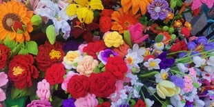 缤纷多彩鲜花绽放