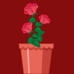 花盆中的娇艳粉色花朵