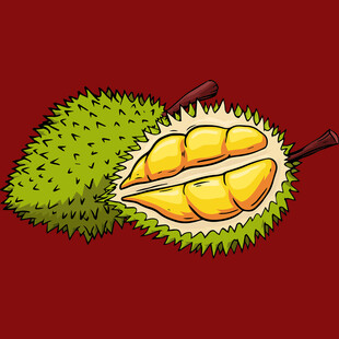 切开的美味榴莲插画