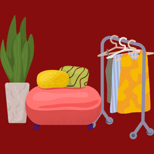 室内衣物摆放与绿植装饰