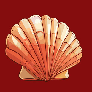 橙色扇贝贝壳插画