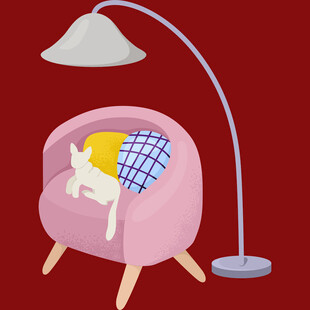 粉色沙发上猫咪惬意休憩