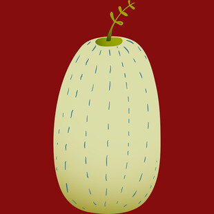 可爱卡通风格的甜瓜形象